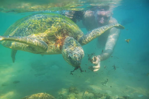 Boy Swimming Giant Sea Turtle Ocean Sri Lanka — Fotografia de Stock