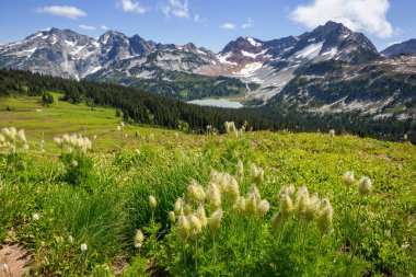 North Cascade Range, Washington, ABD 'deki güzel dağ zirvesi.