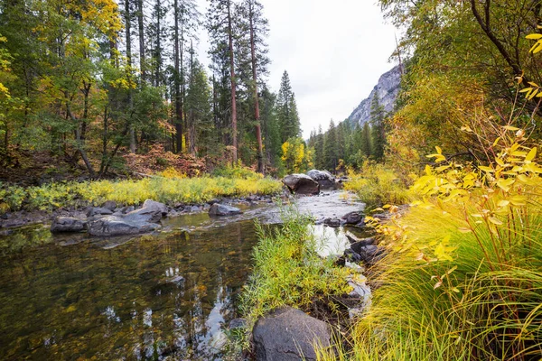 Vacker Höstsäsong Yosemite National Park Kalifornien Usa — Stockfoto