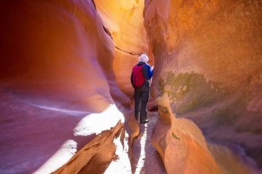 Utah, ABD 'deki Grand Staircase Escalante Ulusal Parkı' ndaki Slot Kanyonu. Utah çöllerinde alışılmadık renkli kumtaşı oluşumları yürüyüşçüler için popülerdir..