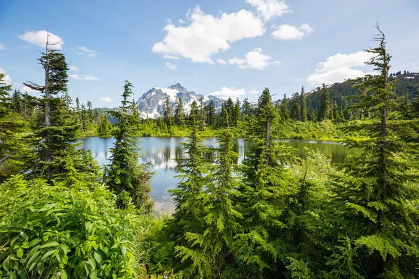 Washington Abd Shuksan Dağı Yansımalı Scenic Picture Gölü — Stok fotoğraf