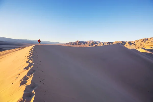 Πεζοπόρος Ανάμεσα Αμμόλοφους Στην Έρημο — Φωτογραφία Αρχείου