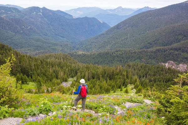 Backpacker Beim Wandern Hochgebirge — Stockfoto