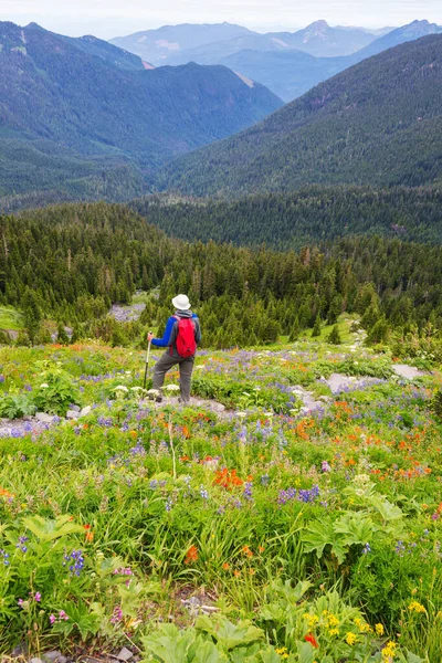 Mann Bei Einer Wanderung Den Sommerlichen Bergen Schöne Naturlandschaften — Stockfoto