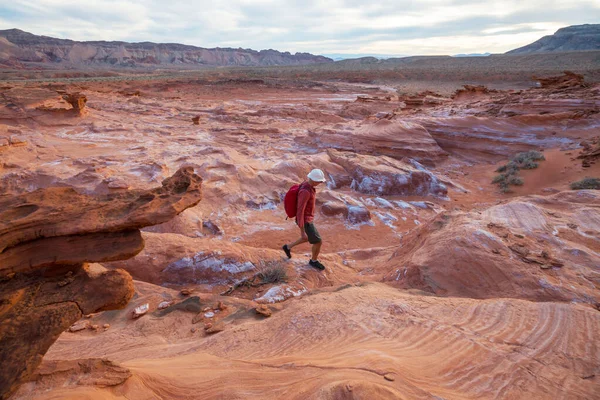 Malé Finsko Poblíž Mesquite Nevada Usa — Stock fotografie