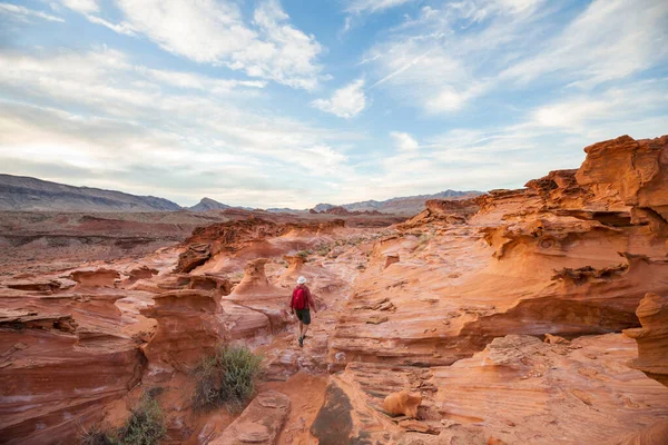 Petite Finlande Près Mesquite Nevada Usa — Photo