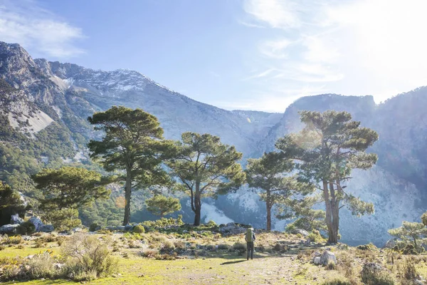 土耳其山区美丽的自然景观 路人学在徒步旅行者中很有名 — 图库照片