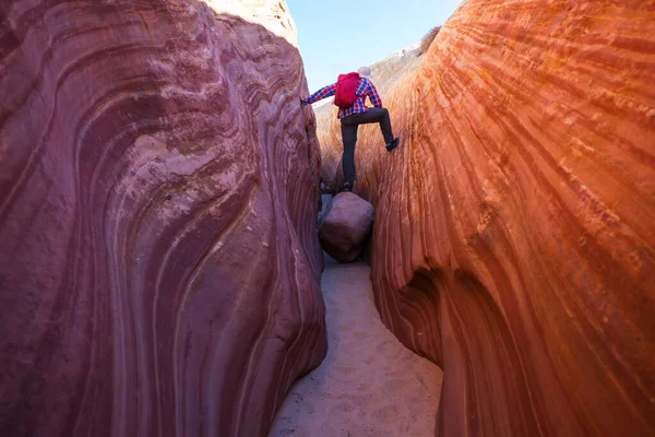 Slot Canyon Grand Staircase Escalante National Park Utah Usa Ovanliga — Stockfoto