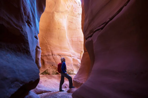 Slot Canyon Grand Staircase Escalante National Park Utah Usa Neobvyklé — Stock fotografie