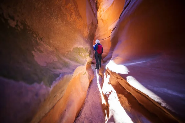 Slot Canyon Nel Grand Staircase Escalante National Park Utah Usa — Foto Stock