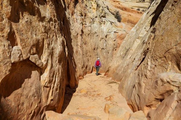 Slot Canyon Grand Staircase Escalante Nationalpark Utah Usa Ungewöhnlich Bunte — Stockfoto