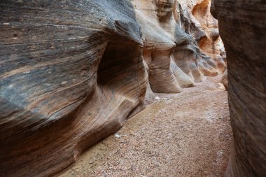 Utah, ABD 'deki Grand Staircase Escalante Ulusal Parkı' ndaki Slot Kanyonu. Utah çöllerinde alışılmadık renkli kumtaşı oluşumları yürüyüşçüler için popülerdir..