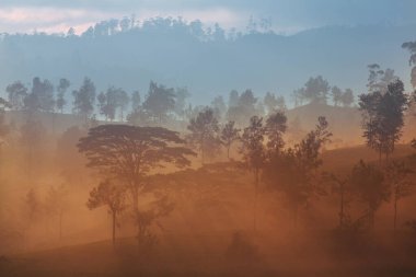 Gün batımında Sri Lanka 'da güzel doğal manzaralar