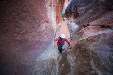 Utah, ABD 'deki Grand Staircase Escalante Ulusal Parkı' ndaki Slot Kanyonu. Utah çöllerinde alışılmadık renkli kumtaşı oluşumları yürüyüşçüler için popülerdir..