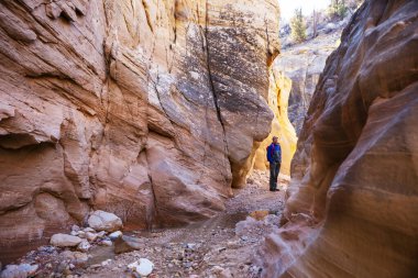 Utah, ABD 'deki Grand Staircase Escalante Ulusal Parkı' ndaki Slot Kanyonu. Utah çöllerinde alışılmadık renkli kumtaşı oluşumları yürüyüşçüler için popülerdir..