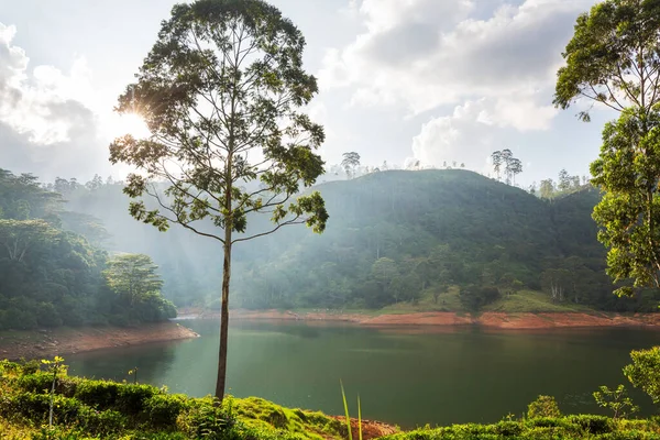 Prachtige Natuurlandschappen Sri Lanka — Stockfoto