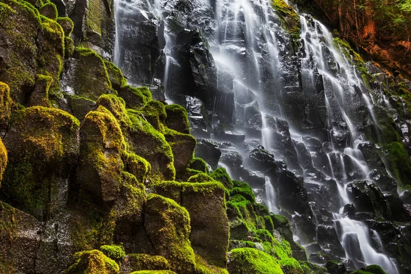 Ramona Falls Oregon Usa — Stock Photo, Image