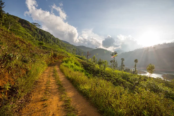 Tuk Tuk Cestě Mezi Zelenými Stromy Srí Lance — Stock fotografie