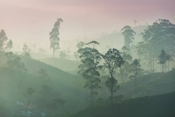 Beautiful Natural Landscapes Sri Lanka Sunset — стокове фото