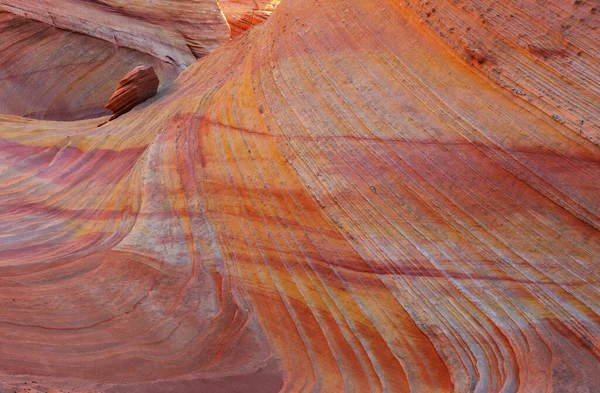 Wave Arizona Vermillion Cliffs Paria Canyon State Park Сша Дивовижне — стокове фото