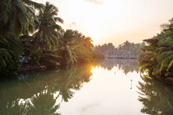 Tropical River Sri Lanka — Stock Photo, Image