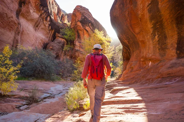 Caminhada Nas Montanhas Utah Caminhadas Paisagens Naturais Incomuns Formas Fantásticas — Fotografia de Stock