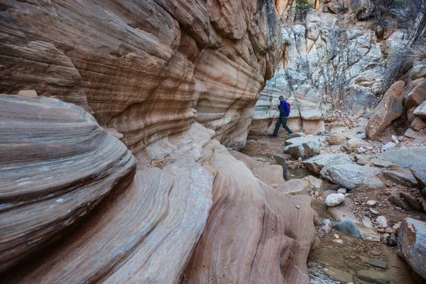 Ranura Cañón Grand Staircase Escalante National Park Utah Formaciones Inusuales — Foto de Stock