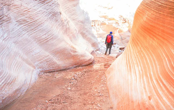 美国犹他州大楼梯梯田国家公园的大峡谷 犹他州沙漠中罕见的五彩斑斓的砂岩地层是徒步旅行者的热门目的地 — 图库照片
