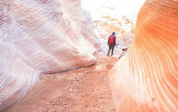 Kanion Szczelinowy Parku Narodowym Grand Staircase Escalante Utah Usa Niezwykłe — Zdjęcie stockowe