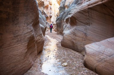 Utah, ABD 'deki Grand Staircase Escalante Ulusal Parkı' ndaki Slot Kanyonu. Utah çöllerinde alışılmadık renkli kumtaşı oluşumları yürüyüşçüler için popülerdir..