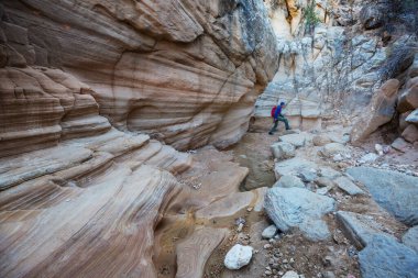 Utah, ABD 'deki Grand Staircase Escalante Ulusal Parkı' ndaki Slot Kanyonu. Utah çöllerinde alışılmadık renkli kumtaşı oluşumları yürüyüşçüler için popülerdir..