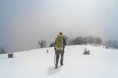 Kış ormanında yürüyüşçüler