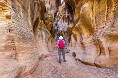 Utah, ABD 'deki Grand Staircase Escalante Ulusal Parkı' ndaki Slot Kanyonu. Utah çöllerinde alışılmadık renkli kumtaşı oluşumları yürüyüşçüler için popülerdir..