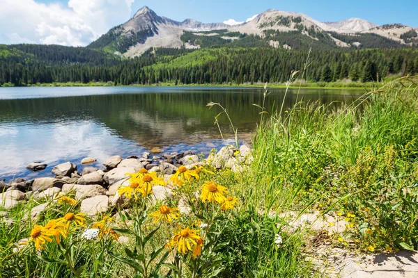Озеро Сереніті Горах Літній Сезон Красиві Природні Пейзажі — стокове фото
