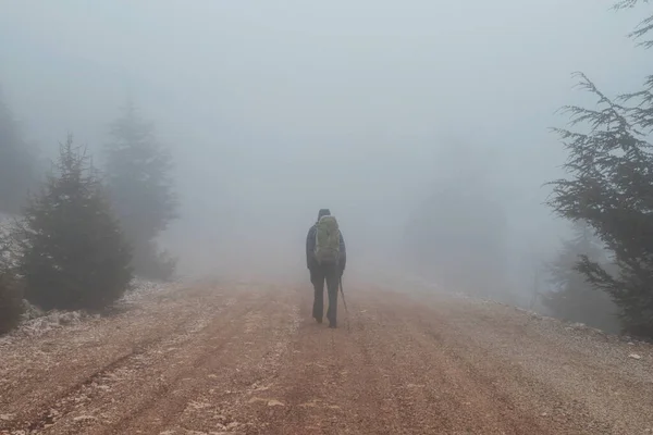 Yürüyüşçü Siste Yol Boyunca Yürür — Stok fotoğraf