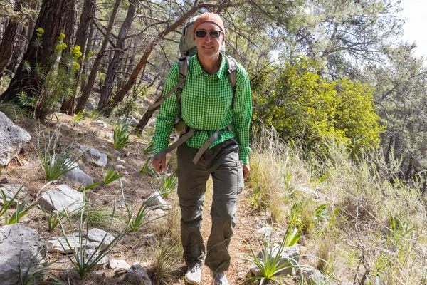 Yaz dağlarında yürüyüş yapan bir adam. Güzel doğal manzaralar..