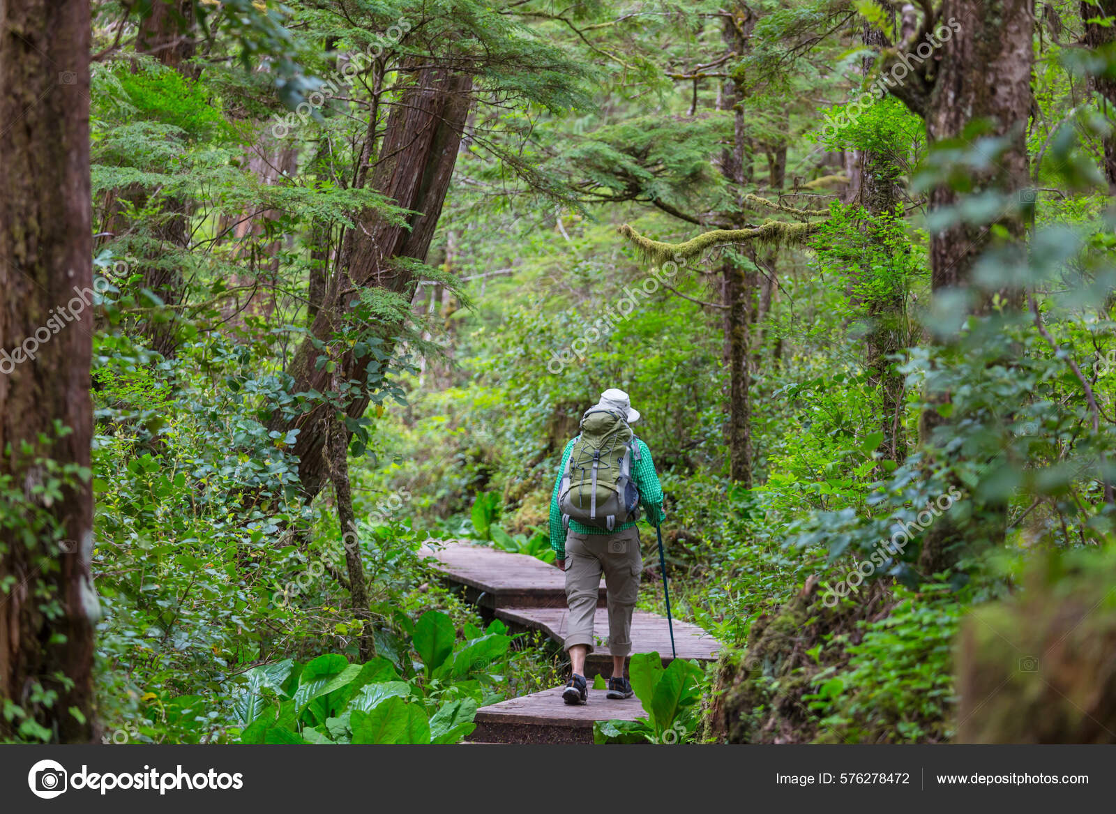 Homem Caminhando Baía Trilha Floresta Natureza Lazer Caminhada Viajar Livre  — Foto © kamchatka #576278472, image size:1600x1167