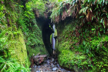 Vancouver Adası, Kanada 'daki Sombrio Sahili' nde gizli bir şelale.