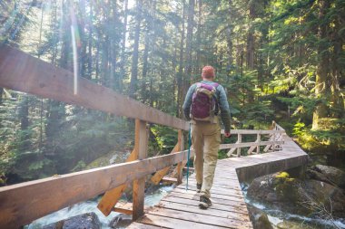 Yeşil ormandaki köprüde bir gezgin.