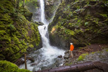 Kanada dağlarındaki güzel şelalenin yanında bir gezgin.