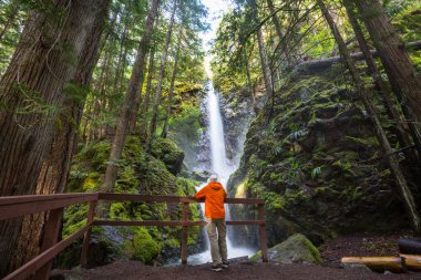 Kanada dağlarındaki güzel şelalenin yanında bir gezgin.