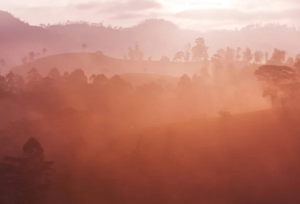 Beautiful Natural Landscapes Sri Lanka Sunset — стоковое фото