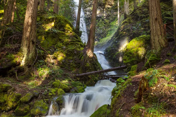 Schöner Wasserfall Den Kanadischen Bergen — Stockfoto