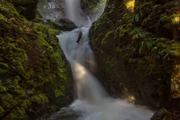 Cascada Hermoso Bosque Verde —  Fotos de Stock