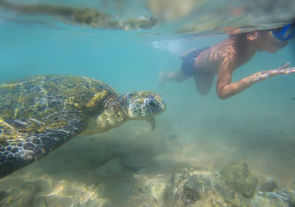 Menino Nadando Com Uma Tartaruga Marinha Gigante Oceano Sri Lanka — Fotografia de Stock