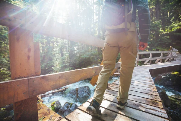 Senderista Puente Bosque Verde — Foto de Stock