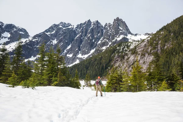 Caminhando Homem Nas Montanhas Canadenses Caminhada Atividade Recreação Popular América — Fotografia de Stock