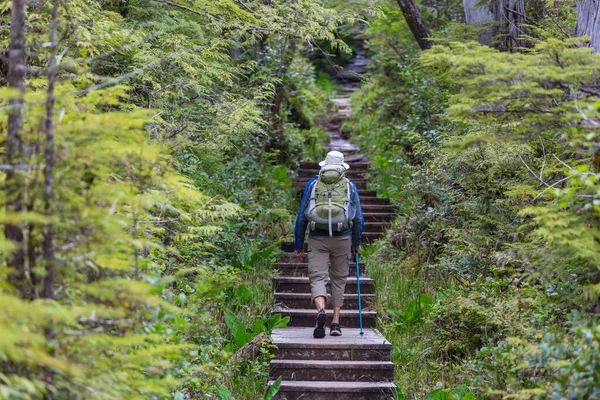 Man Vandring Bukten Leden Skogen Natur Fritid Vandring Resa Utomhus — Stockfoto