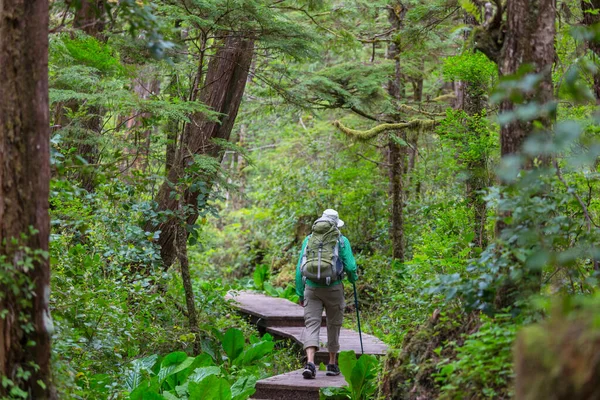 Mann Wandert Bucht Den Weg Wald Natur Freizeit Wanderung Freien — Stockfoto