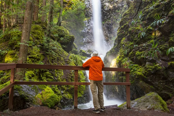 Senderista Cerca Hermosa Cascada Las Montañas Canadienses —  Fotos de Stock